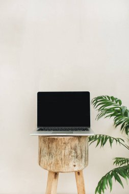 Ahşap tabure ve tropikal palmiye ağacı üzerinde önden görünüm laptop. Yaşam tarzı blog kahraman başlığı. Yaratıcı blog ya da sosyal medya arka plan.