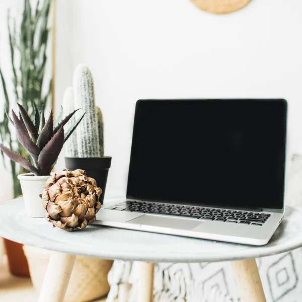 Conceito Negócio Mínimo Laptop Suculento Flor Mesa Natureza Morta Herói — Fotografia de Stock