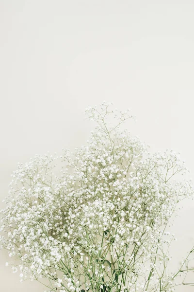 白色满天星花花束 — 图库照片