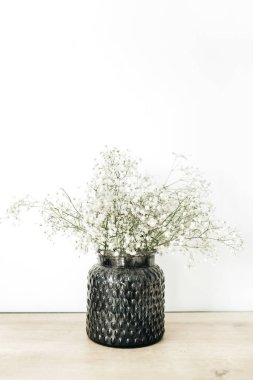 Beyaz gypsophila çiçek buketi beyaz arka plan, saksı içinde.
