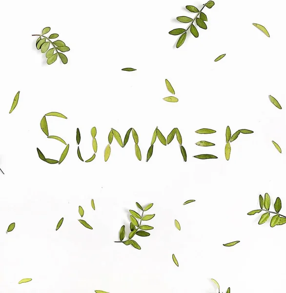 Word Summer Made Green Leaves Flat Lay Top View — Stock Photo, Image