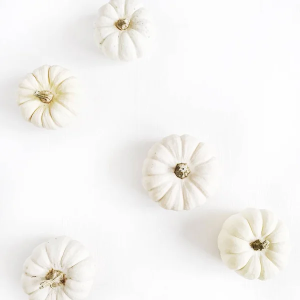 Abóboras Brancas Outono Conceito Mínimo Deitado Plano Vista Superior — Fotografia de Stock