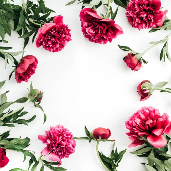 Kadar pembe şakayık çiçekleri metin için yer ile ilgili alay et. Düz yatıyordu, en iyi görünümü kenarlık çerçevesi.