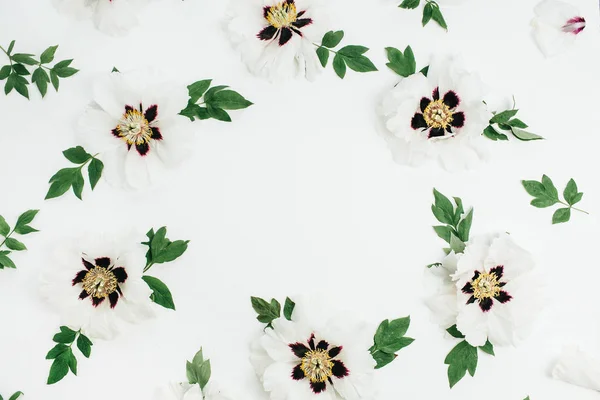 Frame Van Witte Pioen Bloemen Witte Achtergrond Plat Lag Top — Stockfoto