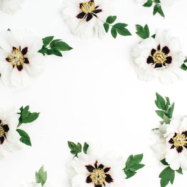 Beyaz şakayık çiçekleri beyaz zemin üzerine çerçeve. Düz yatıyordu, en iyi görünümü kadar sahte.