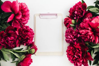 Çerçeve ile çiçek kompozisyon kırmızı şakayık çiçekleri ve beyaz arka plan panoda. Düz yatıyordu, en iyi görünümü kadar sahte.