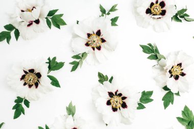 Beyaz arka plan üzerinde beyaz peonies çiçek doku. Düz yatıyordu, en iyi görünümü.