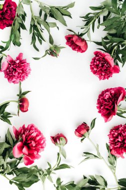 Kadar pembe şakayık çiçekleri metin için yer ile ilgili alay et. Düz yatıyordu, en iyi görünümü kenarlık çerçevesi.