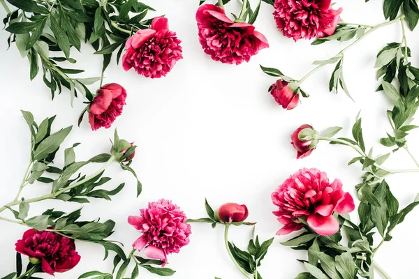 Frame Van Roze Pioen Bloemen Witte Achtergrond Plat Lag Top — Stockfoto