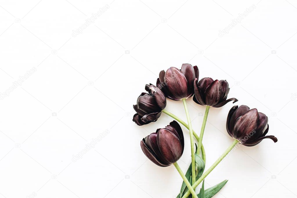 Black tulip flowers bouquet isolated on white background. Flat lay, top view.