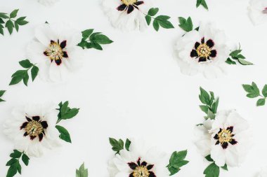 Beyaz şakayık çiçekleri beyaz arka plan üzerinde çerçeve çelenk. Düz yatıyordu, en iyi görünümü kadar sahte.