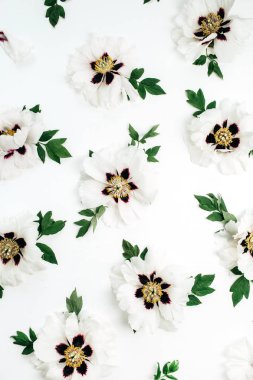 Beyaz arka plan üzerinde beyaz peonies çiçek deseni. Düz yatıyordu, en iyi görünümü.