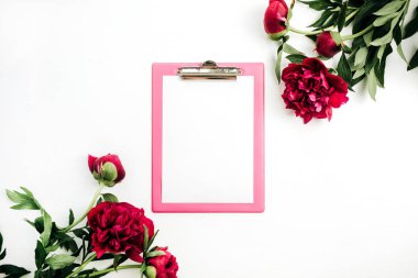 Pano alay kadar pembe şakayık çiçekleri beyaz arka plan üzerinde çerçeve içinde. Düz yatıyordu, en iyi görünümü.