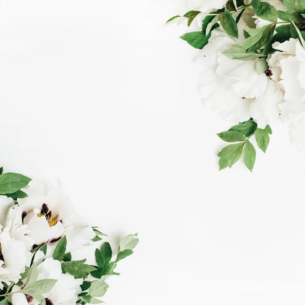Цветочный Состав Белых Пионских Цветов Белом Фоне Плоский Лежал Вид — стоковое фото