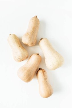 Beyaz zemin üzerine sarı kabak. Sonbahar sonbahar kavramı. Düz yatıyordu, en iyi görünümü.