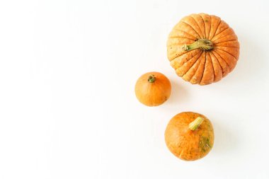 Balkabağı beyaz arka plan üzerinde. Sonbahar sonbahar Cadılar Bayramı kavramı. Düz yatıyordu, en iyi görünümü.