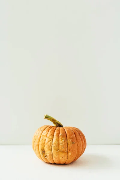 Dynia Białym Tle Koncepcja Halloween Jesień Jesień — Zdjęcie stockowe