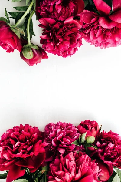 Keret Rózsaszín Bazsarózsa Virágok Fehér Háttér Lapos Feküdt Felső Kilátás — Stock Fotó