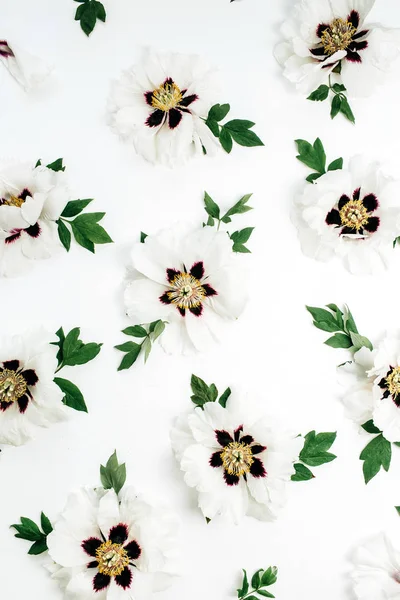 White peony flowers pattern on white background. Flat lay, top view.