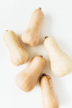 Beyaz zemin üzerine sarı kabak