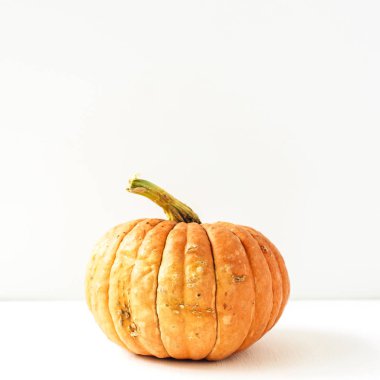 Beyaz arkaplanda sarı balkabağı