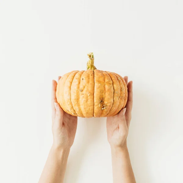 Manos Femeninas Sosteniendo Calabaza Naranja Sobre Fondo Blanco —  Fotos de Stock