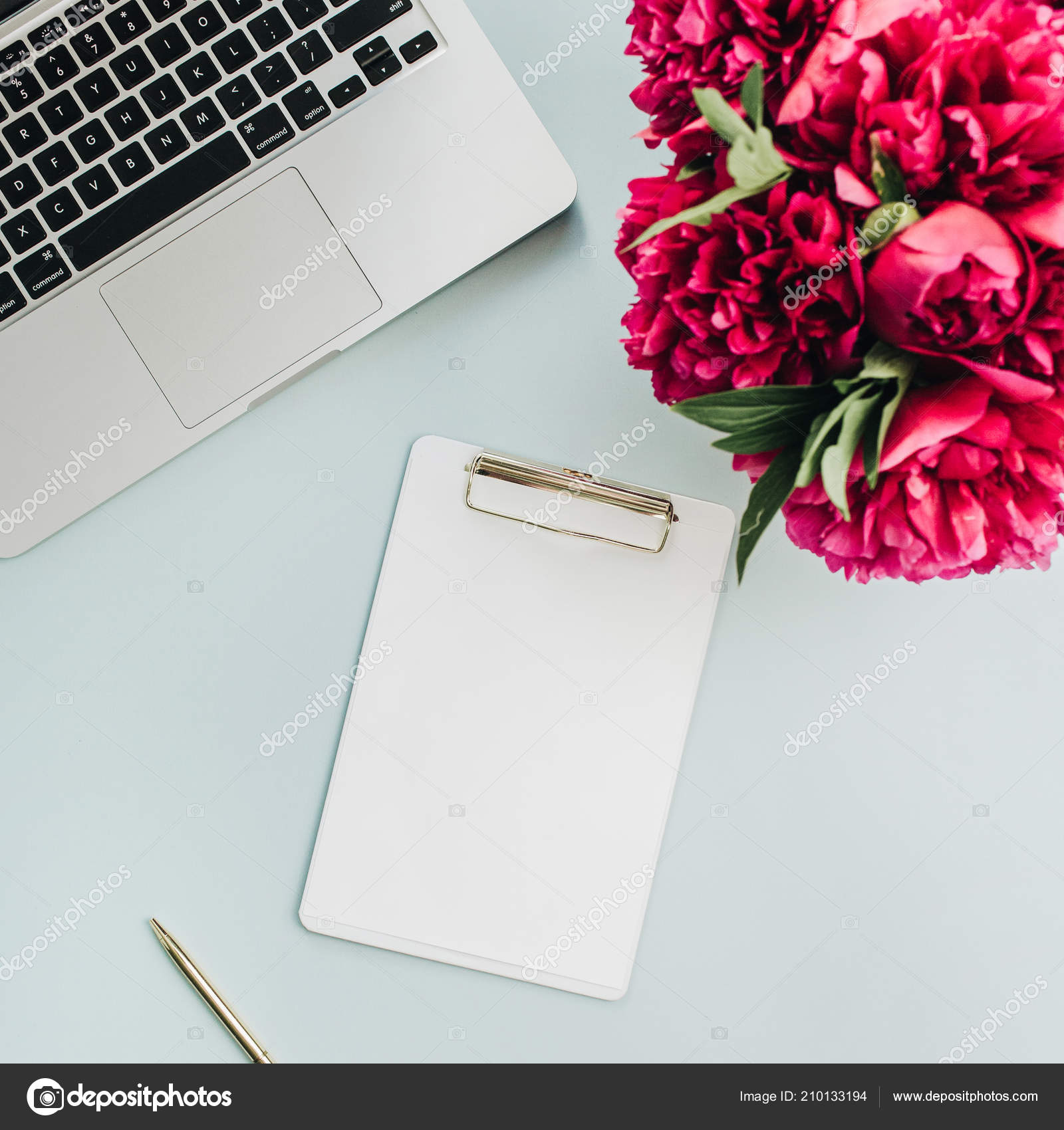 Download Workspace Laptop Blank Mockup Clipboard Pink Peony Flowers Bouquet Blue Stock Photo By C Maximleshkovich 210133194