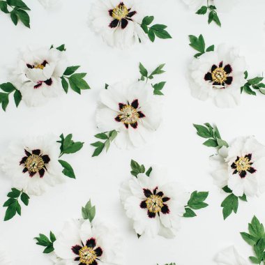 Beyaz şakayık çiçekleri desen. Düz yatıyordu, en iyi görünümü.