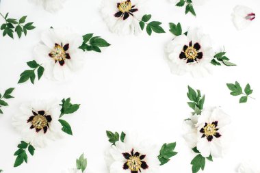 Beyaz şakayık çiçekleri beyaz zemin üzerine çerçeve. Düz yatıyordu, en iyi görünümü kadar sahte.