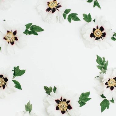 Beyaz şakayık çiçekleri beyaz zemin üzerine çerçeve. Düz yatıyordu, en iyi görünümü kadar sahte.