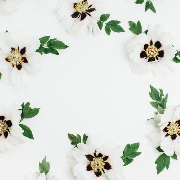 Beyaz şakayık çiçekleri beyaz zemin üzerine çerçeve. Düz yatıyordu, en iyi görünümü kadar sahte.