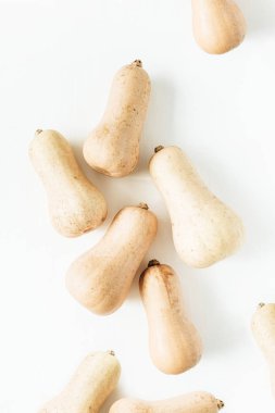 Balkabağı beyaz arka plan üzerinde. Düz yatıyordu, en iyi görünümü sonbahar sonbahar konsepti.