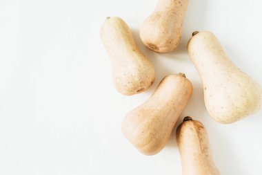 Beyaz zemin üzerine sarı kabak. Sonbahar sonbahar kavramı. Düz yatıyordu, en iyi görünümü.