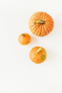 Balkabağı beyaz arka plan üzerinde. Sonbahar sonbahar kavramı. Düz yatıyordu, en iyi görünümü.