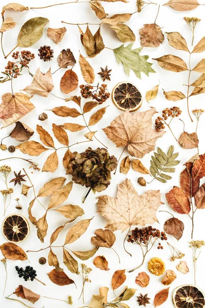 Flat lay, top view. Fall pattern with dry autumn leaves on white background.