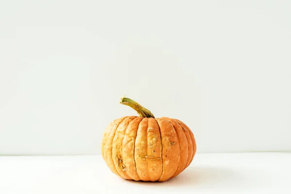 Calabaza Sobre Fondo Blanco Concepto Otoño Otoño —  Fotos de Stock