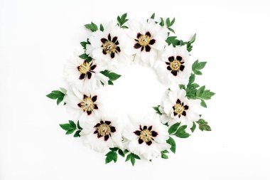 Beyaz şakayık çiçekleri beyaz arka plan üzerinde çerçeve çelenk. Düz yatıyordu, en iyi görünümü kadar sahte.