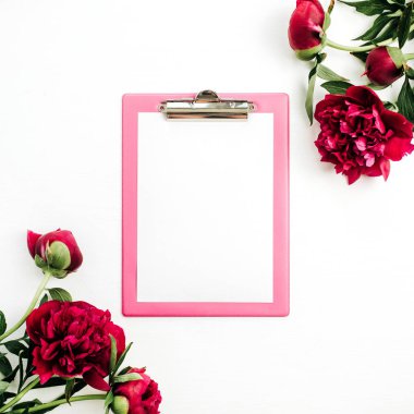 Pano alay kadar pembe şakayık çiçekleri beyaz arka plan üzerinde çerçeve içinde. Düz yatıyordu, en iyi görünümü.