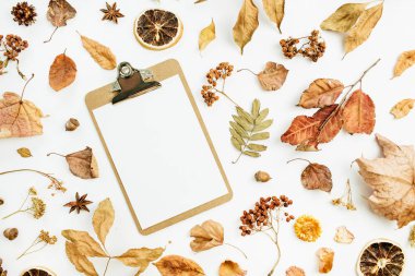 Pano boş kağıt kuru sonbahar sonbahar yaprakları, yaprakları ve beyaz zemin üzerine portakal ile. Düz yatıyordu, en iyi görünümü mevsimlik kavramı.