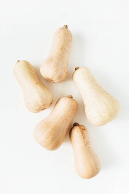 Düz kabaklar kolaj yatıyordu. Üstten görünüm sonbahar arka plan.