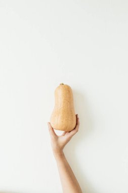 Beyaz zemin üzerine sarı kabak tutan el. Sonbahar sonbahar gıda kavramı. Düz yatıyordu, en iyi görünümü.