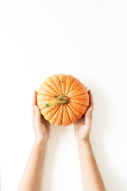 Kabak erkek beyaz arka plan üzerinde eller. Düz yatıyordu, en iyi görünümü sonbahar sonbahar konsepti.