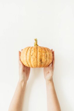 Kabak erkek beyaz arka plan üzerinde eller. Düz yatıyordu, en iyi görünümü sonbahar sonbahar konsepti.