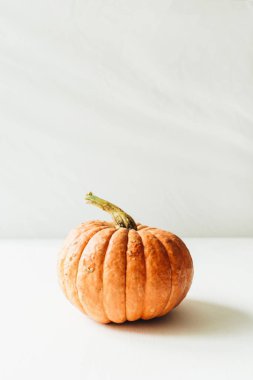 Balkabağı beyaz arka plan üzerinde. Sonbahar sonbahar konsepti.