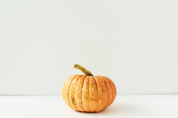 Calabaza Halloween Fondo Otoño Otoño —  Fotos de Stock