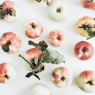 Beyaz arka plan üzerinde elma desen. Düz yatıyordu, en iyi görünümü meyve doku.