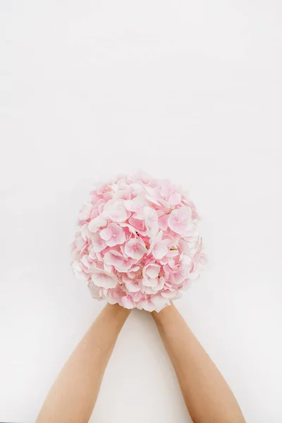 Frauenhände Halten Rosa Hortensienblütensträuße Auf Weißem Hintergrund Flache Lage Von — Stockfoto