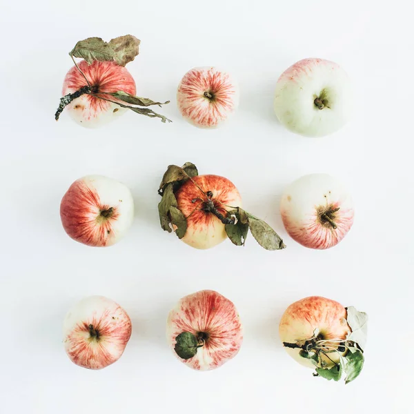 Elma dallarda beyaz arka plan ile. Düz yatıyordu, en iyi görünümü.