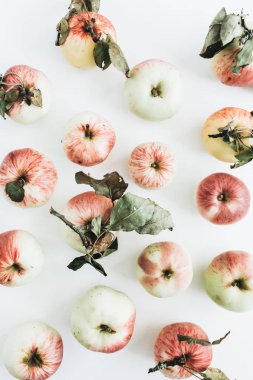 Beyaz arka plan üzerinde elma desen. Düz yatıyordu, en iyi görünümü meyve doku.
