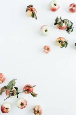 Sınır çerçeve beyaz arka plan üzerinde elma. Düz yatıyordu, en iyi görünümü beslenme kavramı.